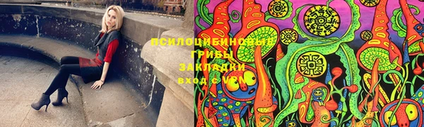 амф Аркадак
